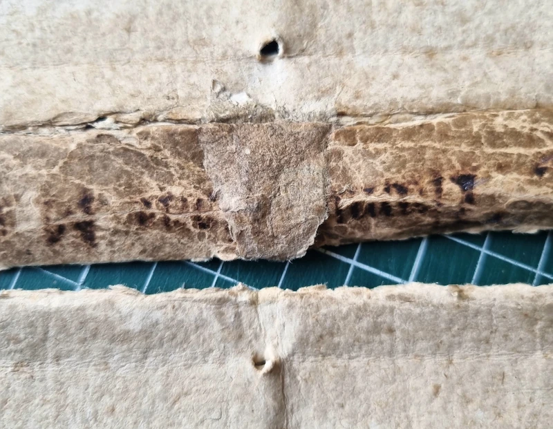 gros plan sur une restauration ancienne sue l'extérieur du dos d'un livre ancien