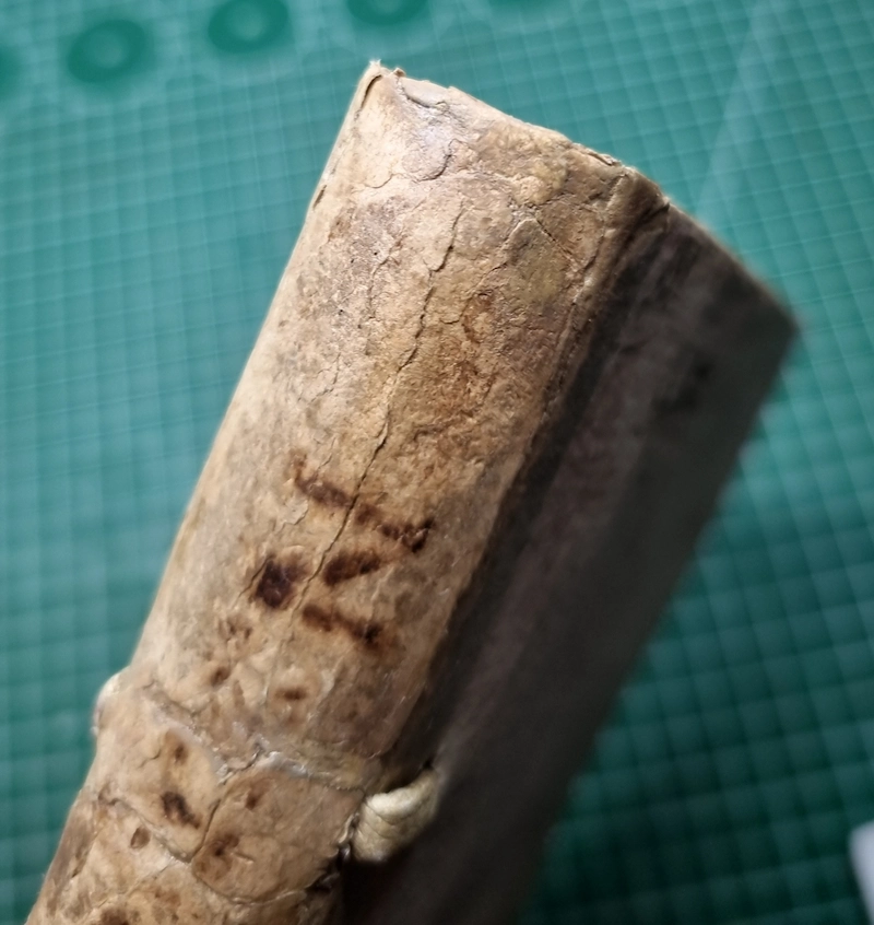 gros plan sur le dos d'un livre ancien du 16ème siècle restauré