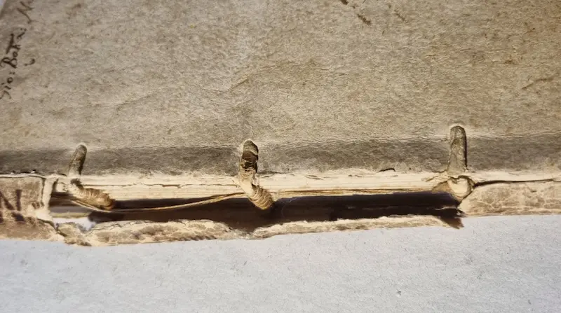 livre ancien de 1599 avec dos déchiré et nerfs sectionnés