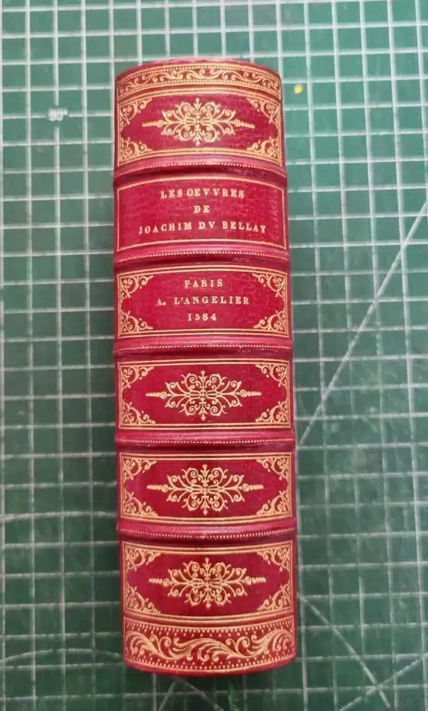 Dos à nerfs en maroquin rouge doré, cinq nerfs saillants, Les Œuvres de Joachim du Bellay 1584