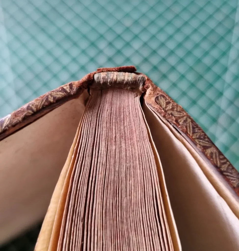 Coiffe de tête usée d'un livre ancien vue de dessus, cuir arrasé laissant apparaître la tranchefile
